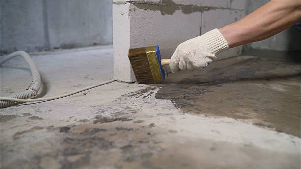 Top rated local Emergency Waterproofing specialists in Cookstown, NJ